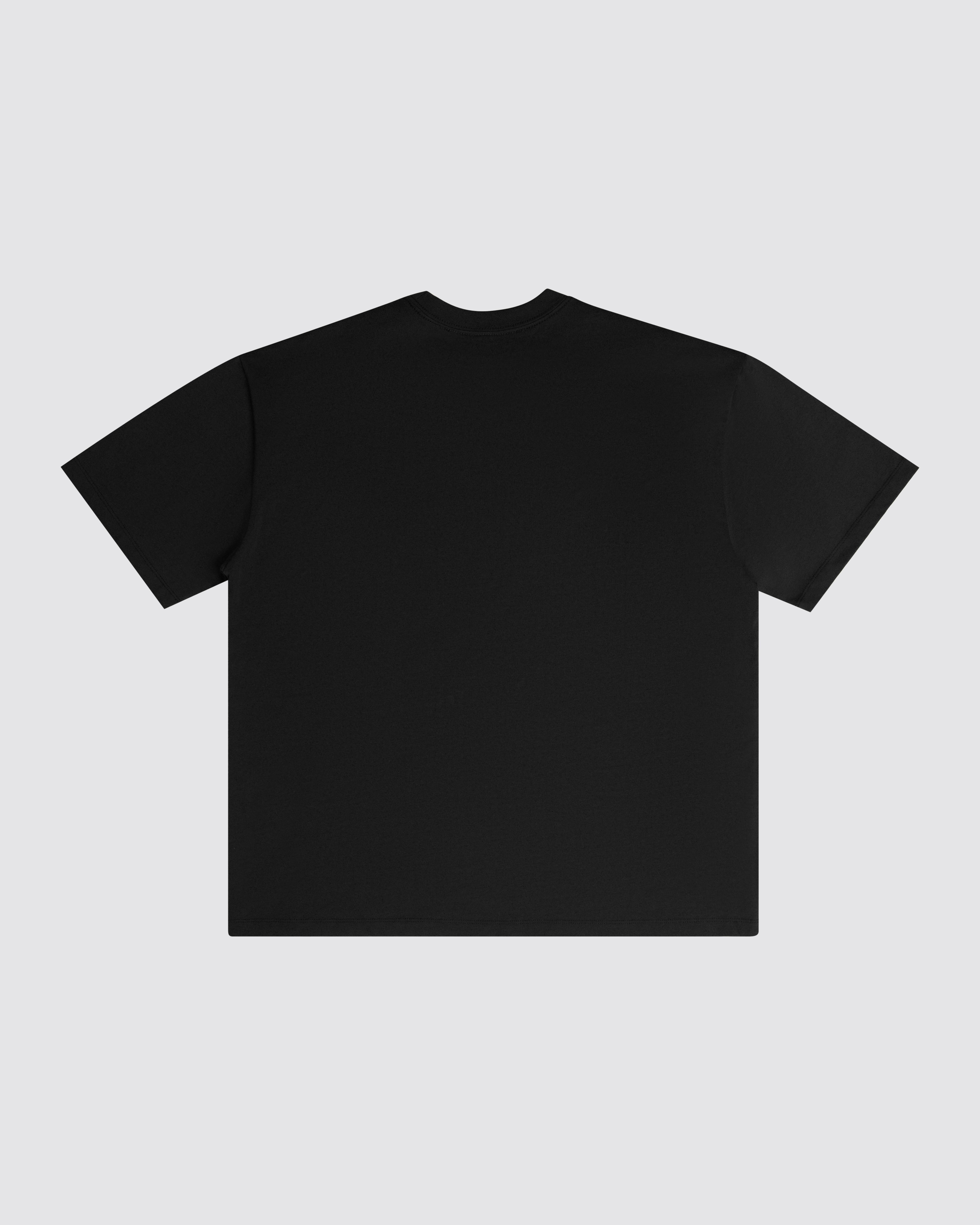 Premium T-Shirt