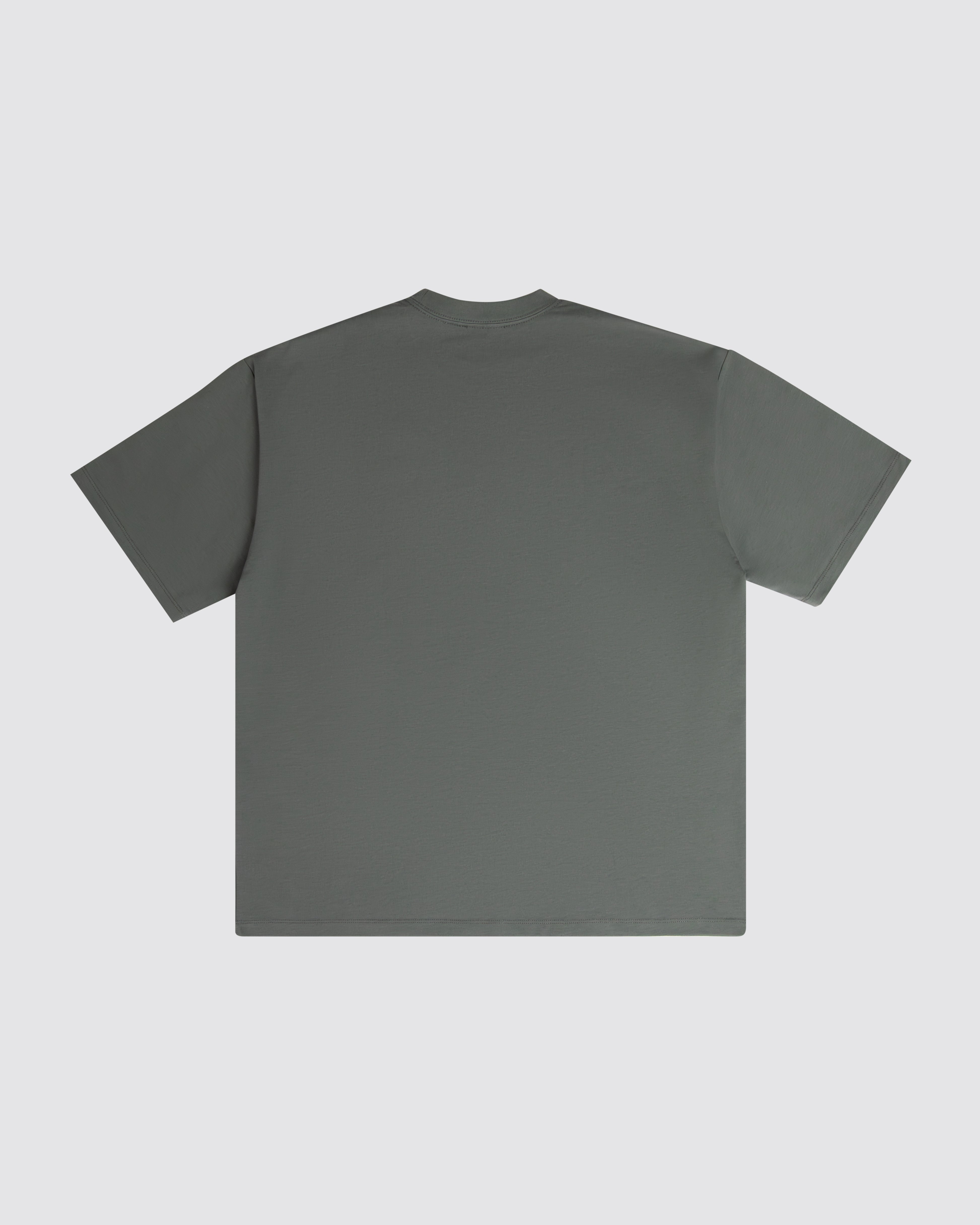 Premium T-Shirt